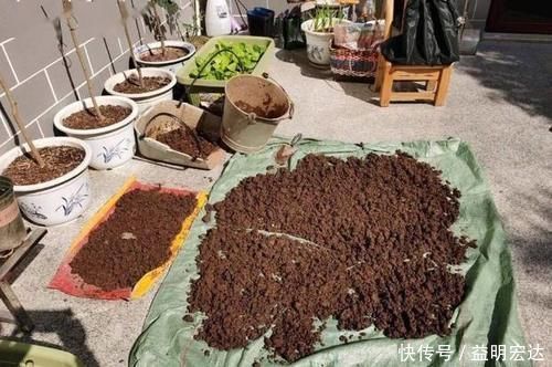 微酸性|养花土里掺点它,碱性变酸性,花卉叶子呼呼长!