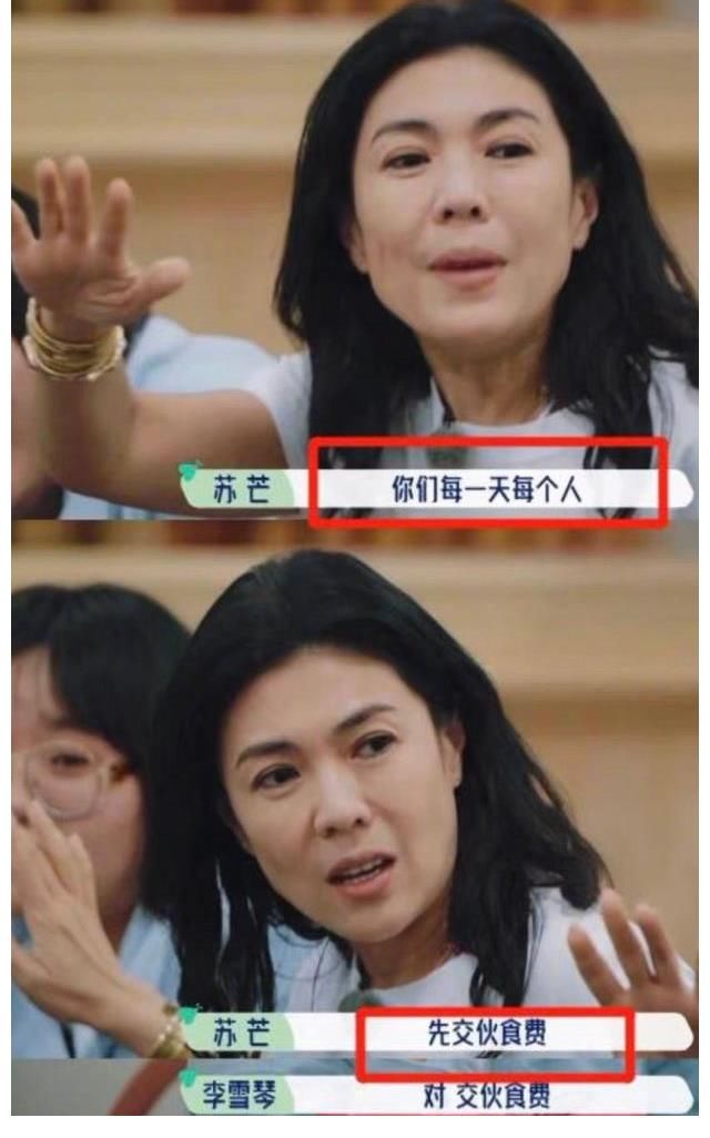 李雪琴|《桃花塢》節目組太高明，正面洗白650餐費，可關鍵是誰信啊？