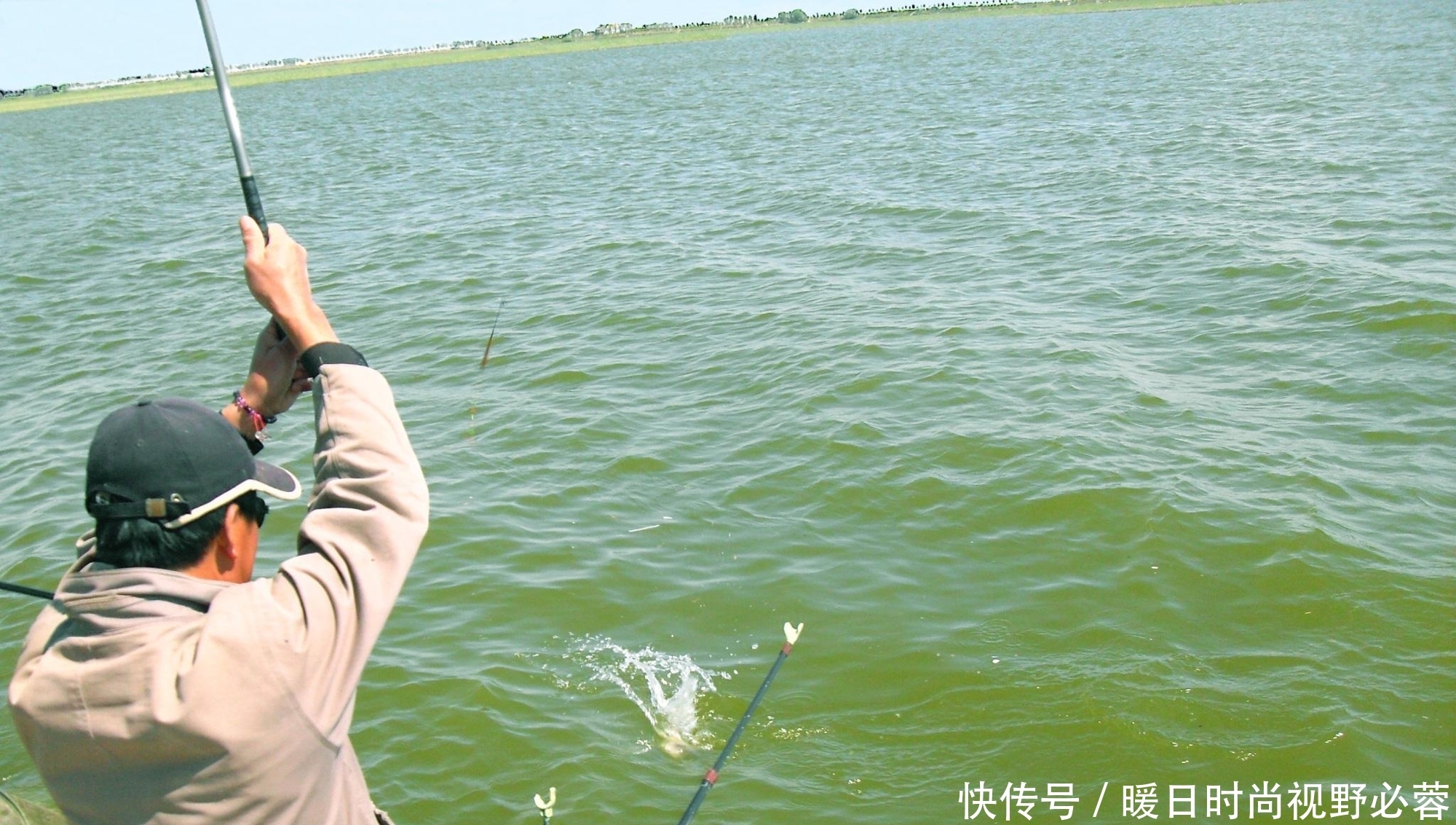 鲤鱼|钓鲤鱼哪种方法最好用?几个钓鲤鱼非常有效的技巧