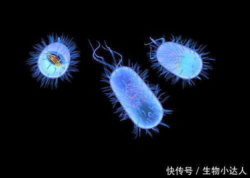 不顾作者强烈反对《科学》撤回这篇“吵了”15年的论文