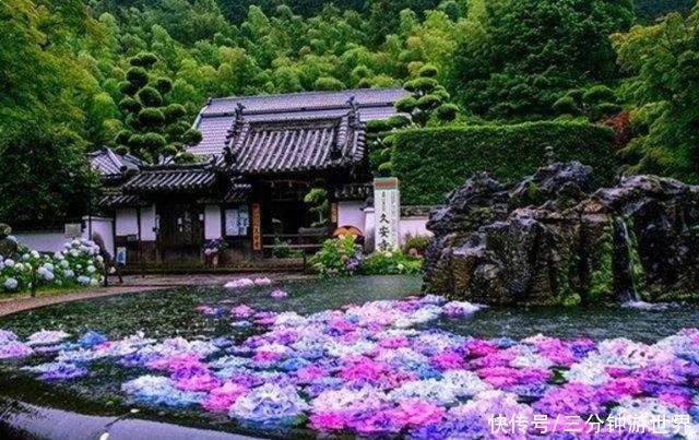 日本一座与众不同的寺庙，入寺不烧香，常年被鲜花包围