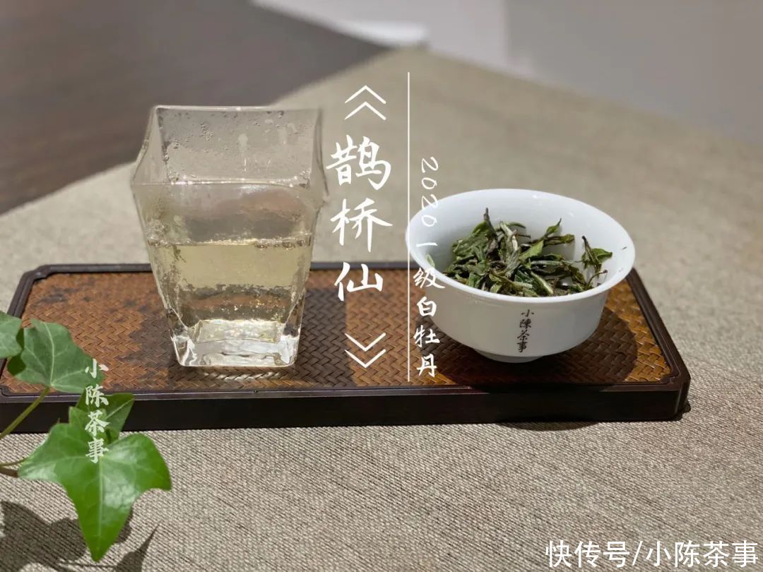  白牡丹|花香满颊，汤水劲滑，时隔7个月，2020白牡丹有了哪些变化？