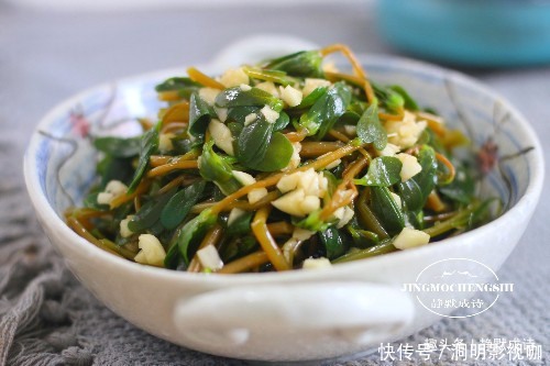 马齿苋|本是菜园里的草,没舍得除掉,随手一拌就是好菜,吃上瘾了
