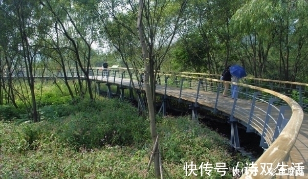 长寿|112岁“最美老寿星”张明珠自爆!长寿法人人复制,你还不知道?