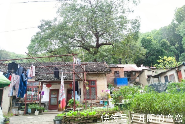 老房子|长沙这里的老房子破烂不堪,地缘优势堪比五一广场,但没人敢拆