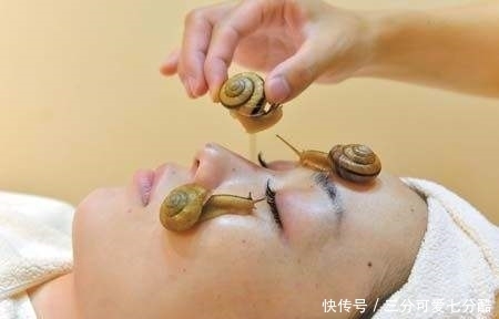 美容院用活体蜗牛做美容,方法是趴在脸上,你可以接受吗