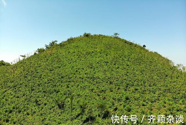 巴山大峡谷|航拍夏日的巴山大峡谷，青山连绵起伏耸立云中