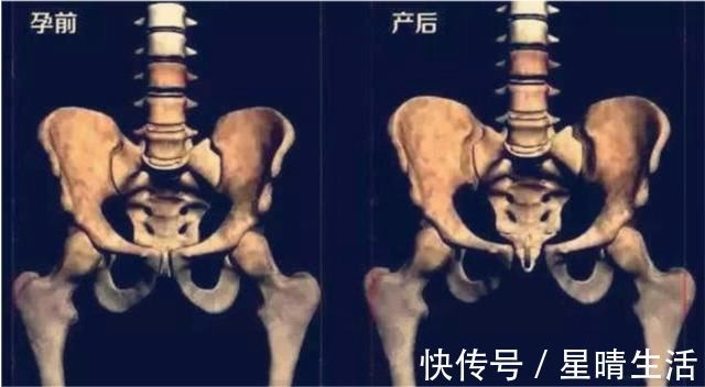 产褥期|孕妇的肚子怎么可以那么大?看看内脏都挤成啥样,才知当妈不容易