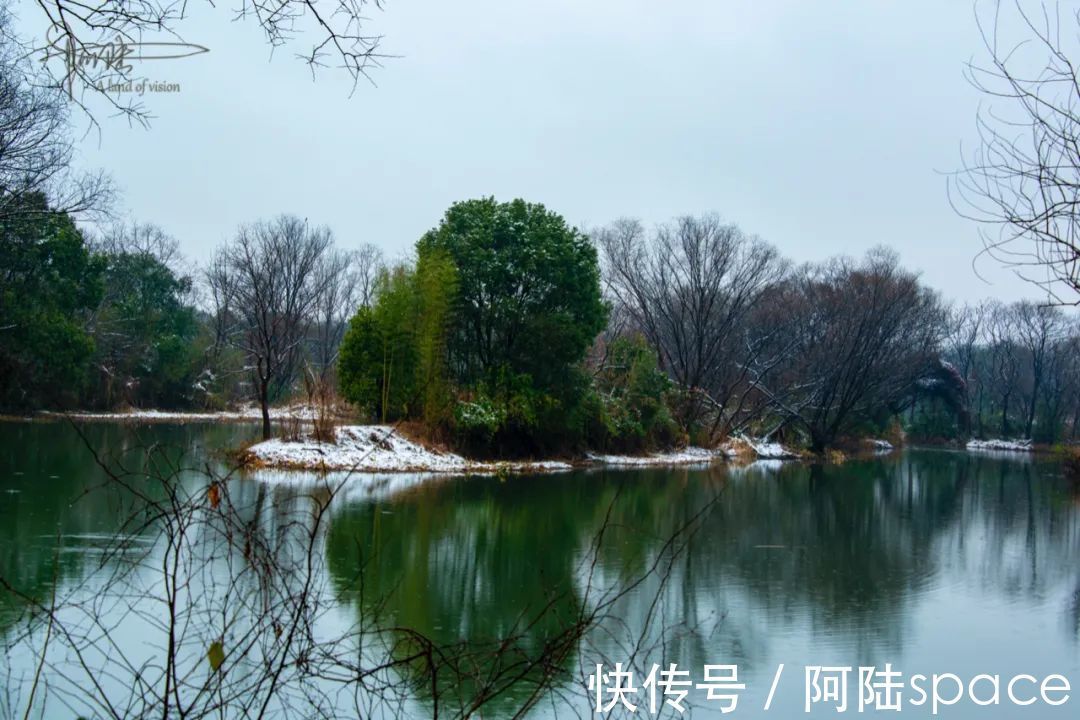 西溪|踏着雨雪寻梅，到西溪绿堤再合适不过，可惜花儿盛开还得等年后