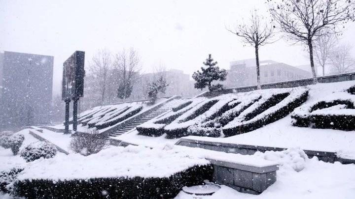 鲁东大学这场雪！太！大！了