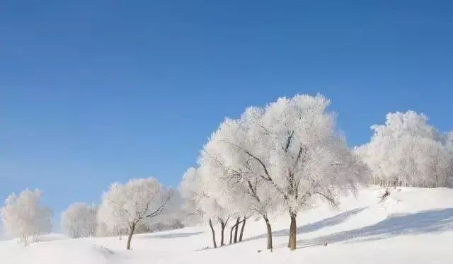 御道口景区雾凇美景醉人！开启童话模式！！