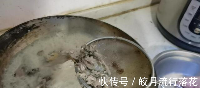 野生鲫鱼汤这么烧,汤鲜色白没有刺,宝妈们快收藏好!