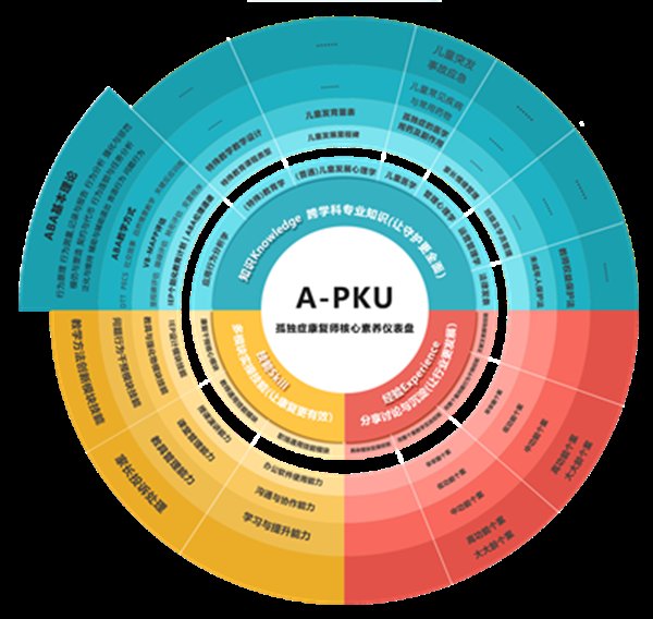 北大医疗脑健康A-PKU，儿童康复“人才大学”