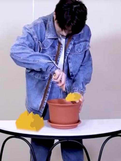 《奔跑吧9》定档4.23，沙溢藏的秘密被坤坤挖出，种菜得菜太秀了