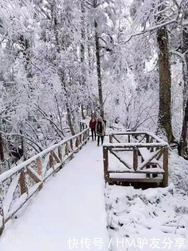 雅安多个景区下雪了！美景、美食一样也不少