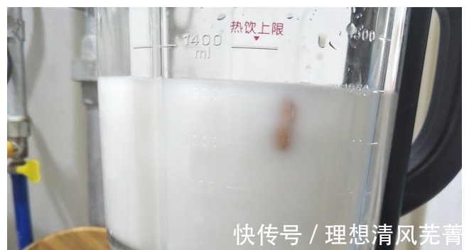 破壁机|破壁机瘦身食谱，4样食材扔进去，低脂又营养，出锅浓香好喝！