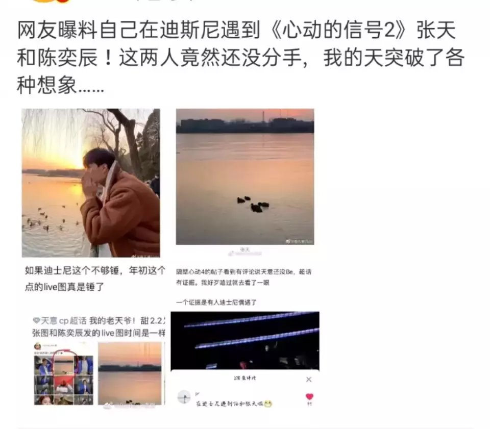 cp|现在的素人恋爱综艺，为啥都这么素啊