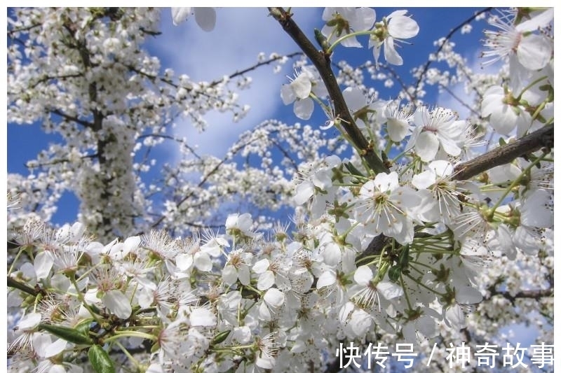 财运|9月开始财富如雨，贵人运旺，日子越来越富贵的四大属相