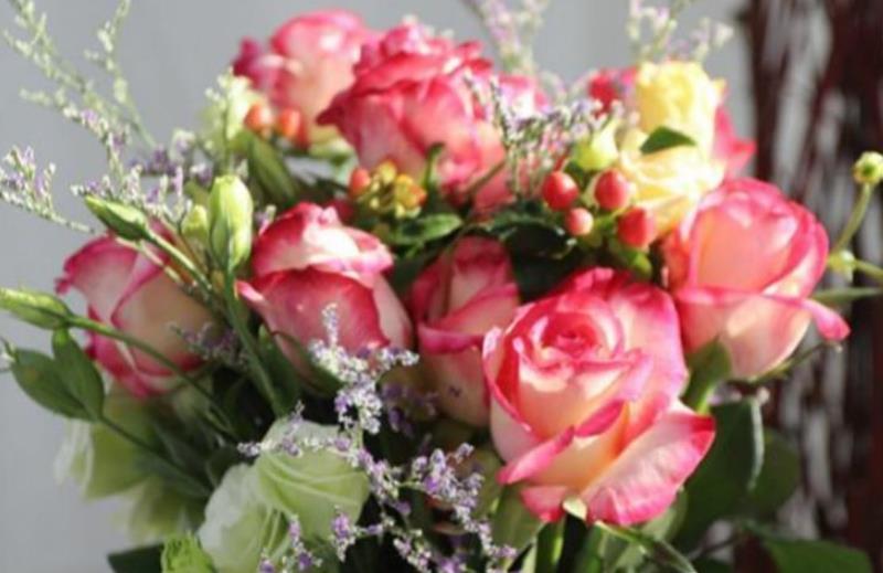 养花就养3种花,好养易活花量大,寓意吉祥人人爱,家里养真适合