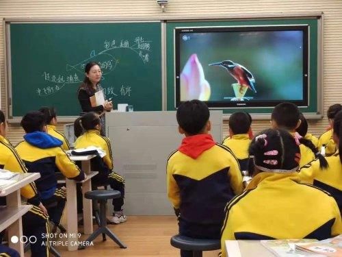 课堂|云端进校园！辽三小学教育集团辽三校区线上家长开放日