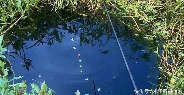 传统钓抬竿时机的把握,增加鱼获只需掌握这几点