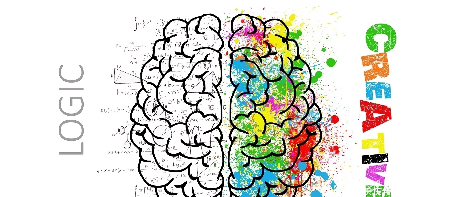 父母|孩子总是学习差,父母错过孩子大脑发育黄金期,却逼孩子加倍努力