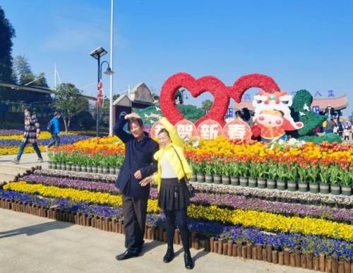 赏花游园骑马爬山……春节长假武汉“乡村游”火了