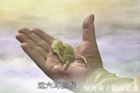 老君!六耳猕猴为啥敢上灵山?他师父可与老君抗衡,一巴掌拍死如来