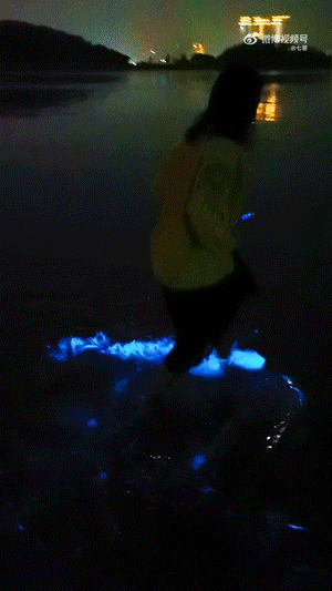 海峡导报|突发！厦门海沧湾公园人人人人人