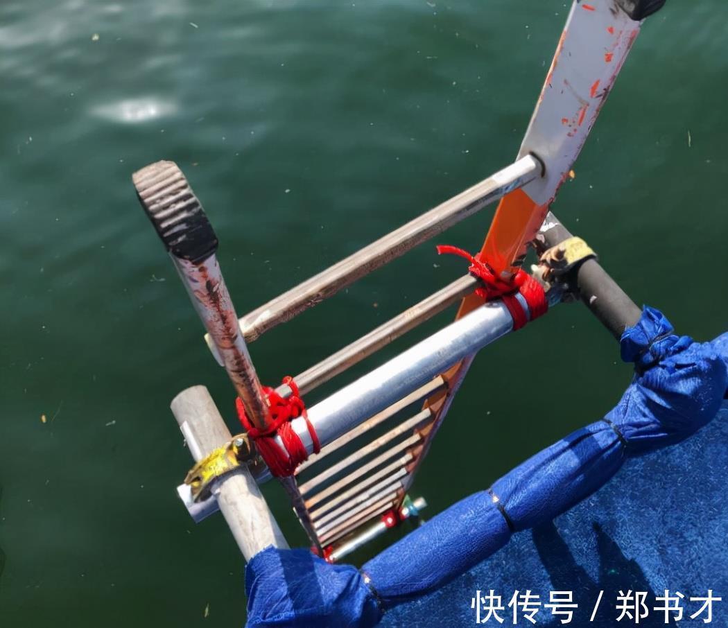 全红婵|全红婵已到达赛场，面对简陋又极具危险感的跳台，她一脸淡定