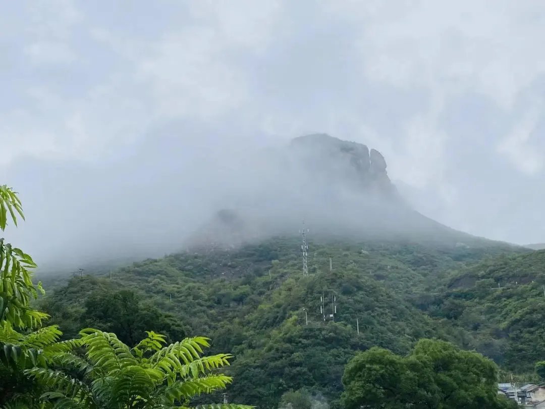 彩霞|彩霞与烟雨同在，仰望无限风光！