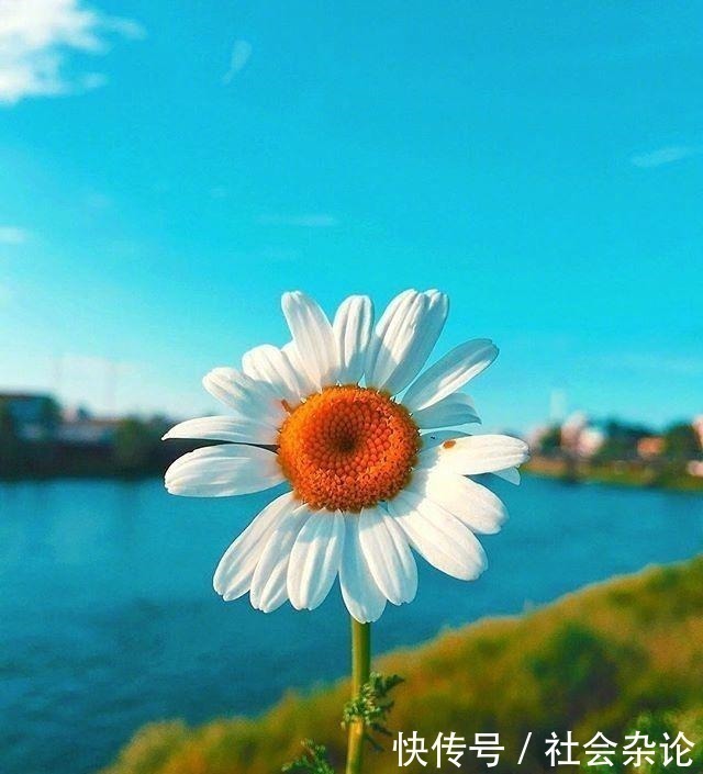 人生|令人受益匪浅的一段话,经典有理,能改变自己!