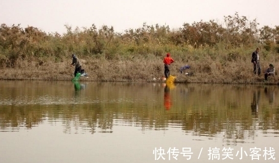 小鱼|用一种常见野草就能有不菲的渔获，但被钓鱼人所不齿，理应杜绝