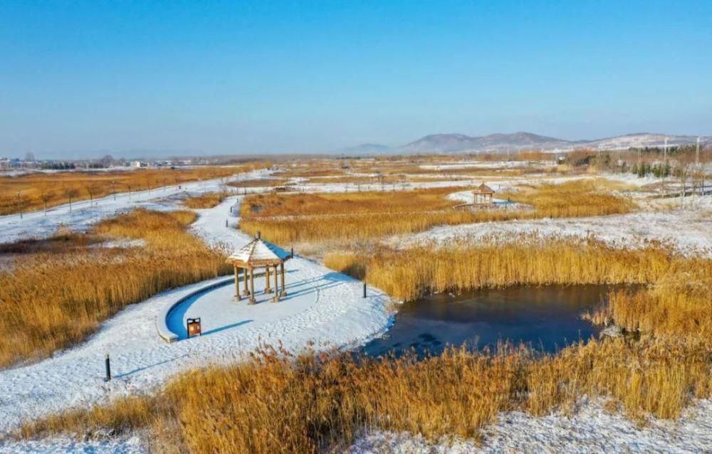 瑞雪来临，福至南海