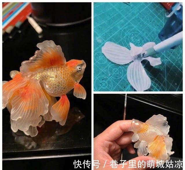 王昱珩|被《人民日报》表扬,1000万姑娘都想嫁,他将家变成热带雨林