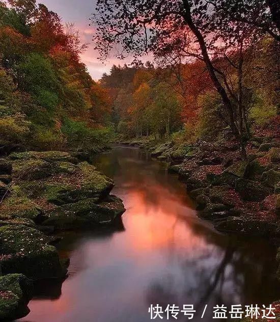 太美了，世界照片今天终于传来，罕见至极，一睹为快