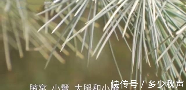 院方 女子花6800做16次脱毛手术,术后毛发开始疯长,医院:个人问题!