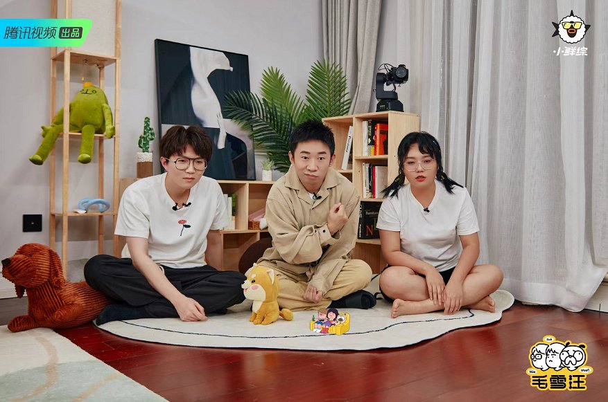 《毛雪汪》：真朋友的“有效社交”才有真正治愈感