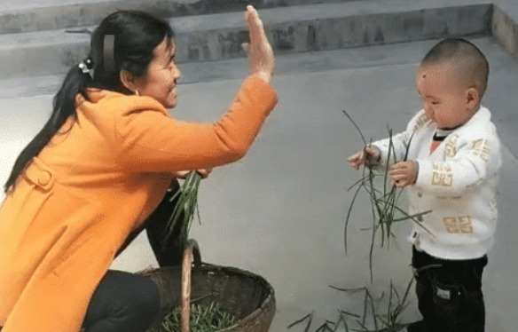 奶奶|“会干的不想干,不会干的抢着干”,萌娃实力帮倒忙,摘韭菜火了