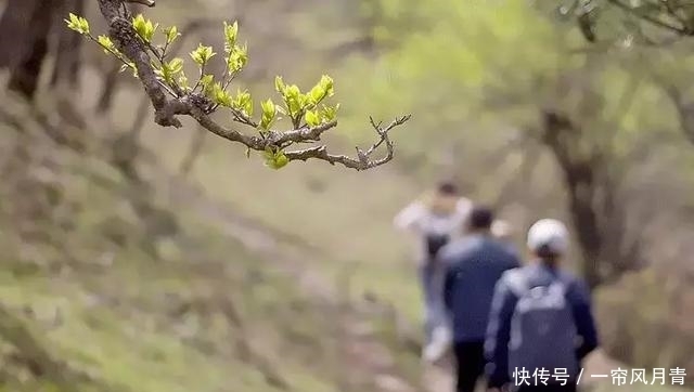 清明为什么要祭祖?这是我听过最好的答案