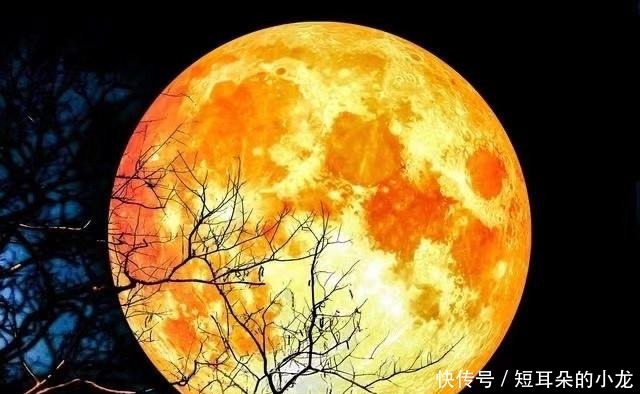 靠谱 5月“超级血月”出现,预示2021年有灾难发生靠谱吗
