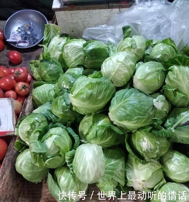 买包菜,选尖头形还是圆头形的?品质差别可挺大,别买错了