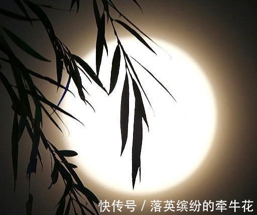 王弗&苏轼最凄美的一首词,全词无一个“悲”字,却悲得荡气回肠