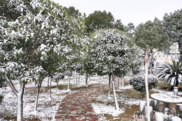 皖江|我爱你，皖江的雪景