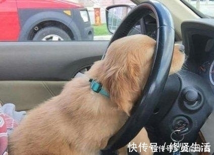 |幽默笑话:快到中午的时候,我饿得不行了,可是……