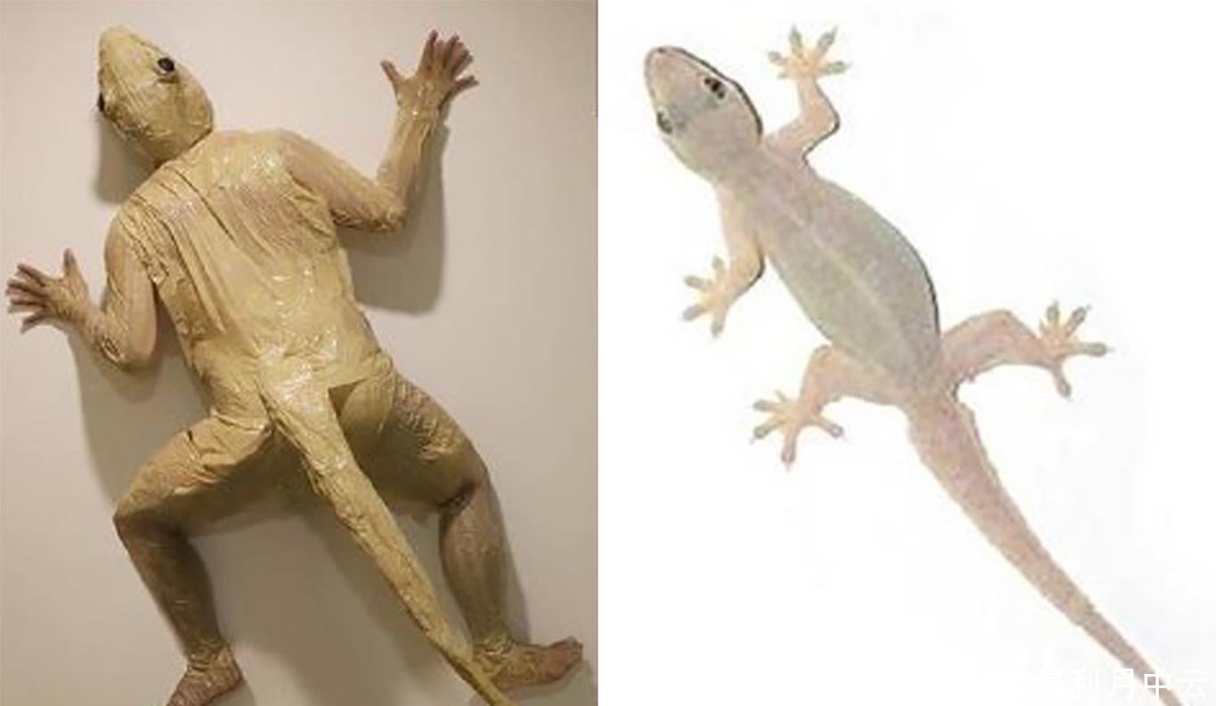 千与千寻|泰国小哥的COS越来越出圈,二次元已经没有难度,万物才是极限