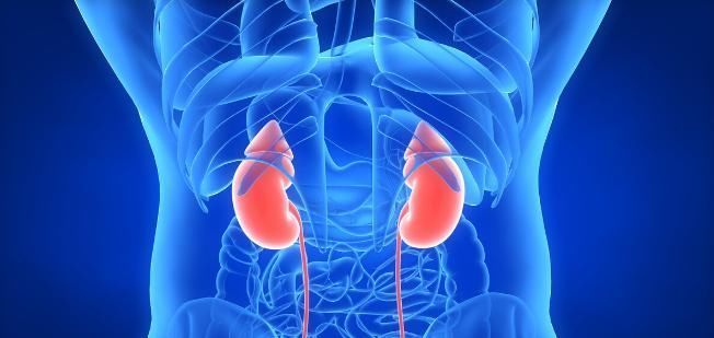 消炎药|为何肾病久治不愈?肾内医生道出一点真相,不少人都中招