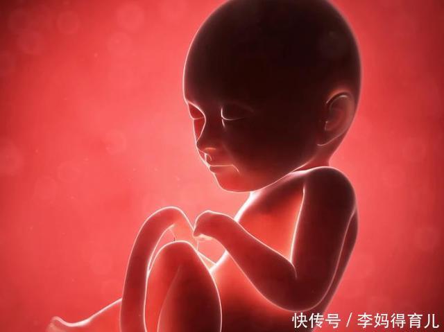 膳食纤维|怀孕后，哪些东西要忌口，哪些营养要补充？可别搞错了！