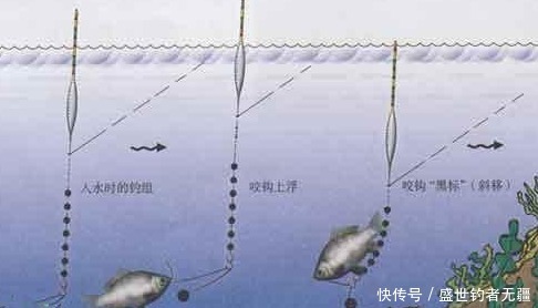  三种草鱼钓法，不仅钓法不同，用饵和思路上另有篇章——盛世三渔