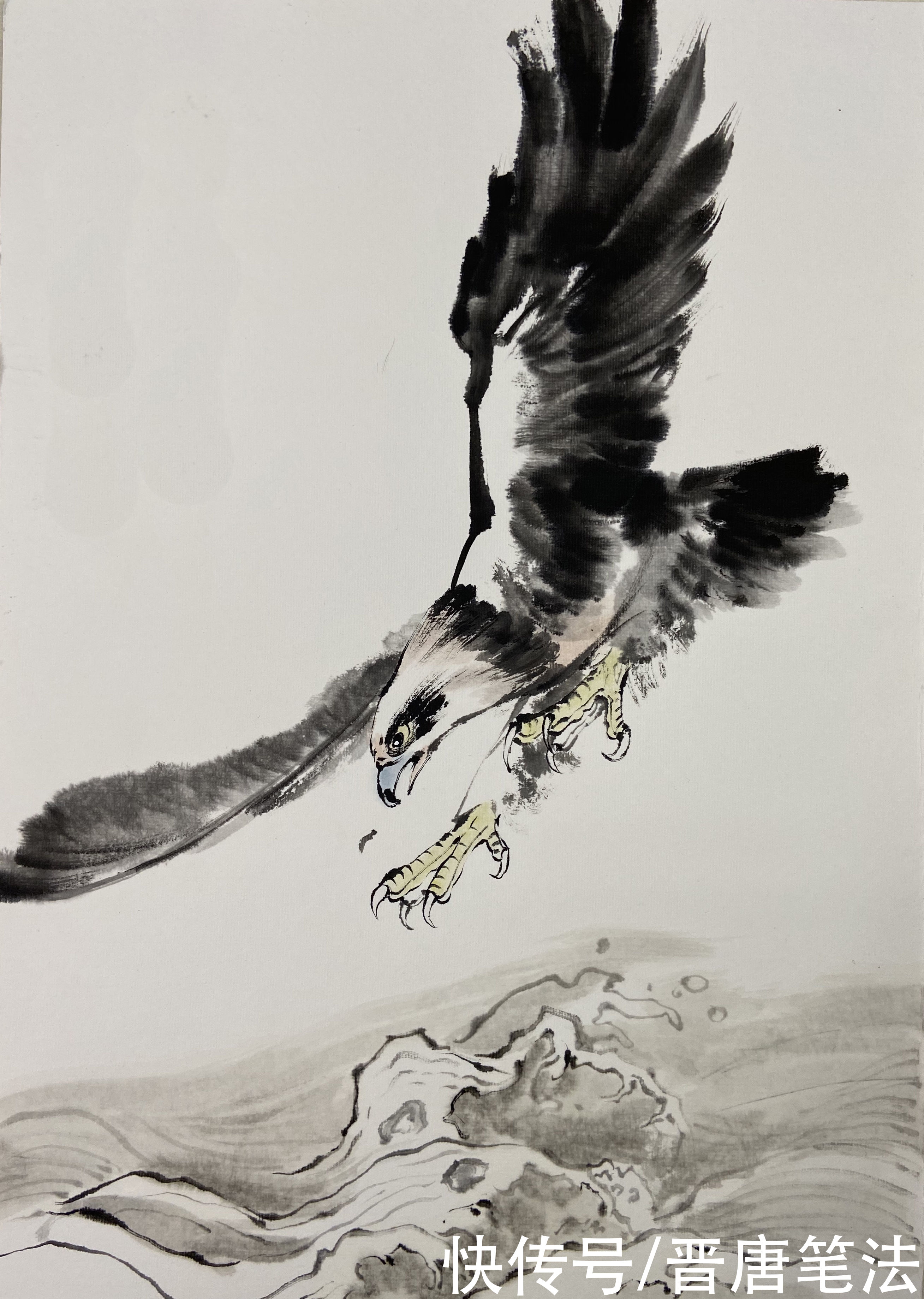  写意|小写意《鹰击长空》的画法和详细步骤图，喜欢国画的朋友收藏了
